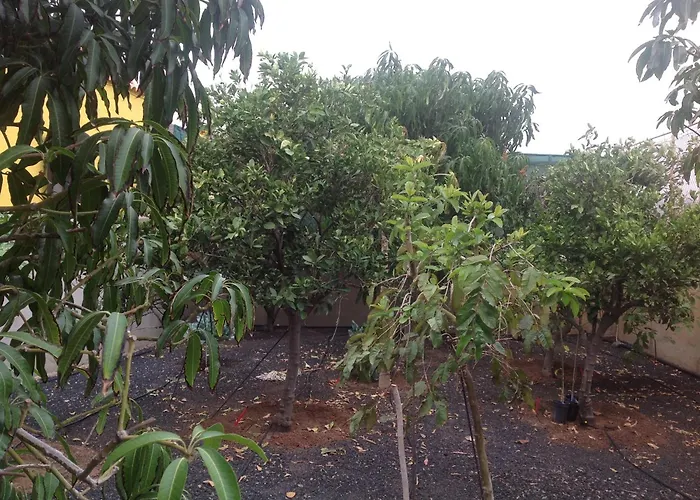 דירה Estrella Del Sur