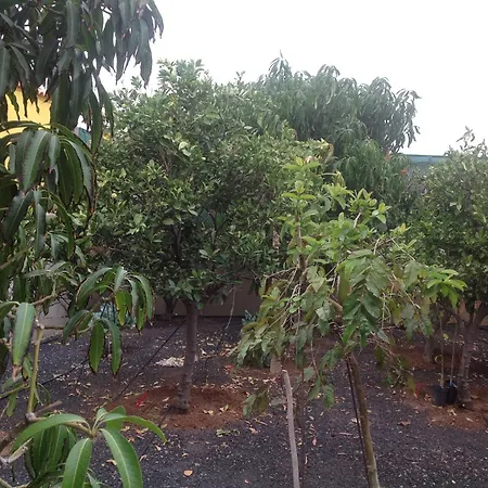 Apartamento Estrella Del Sur