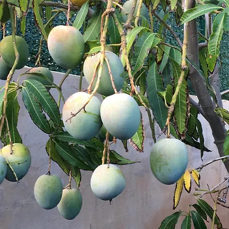 דירה Estrella Del Sur *