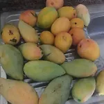 Estrella Del Sur Лахита
